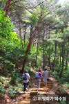 지친 몸과 마음, 경남 치유의 숲에서 힐링하세요!