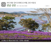 11월 가볼 만한 곳…‘달콤한 짠내투어’ 6곳