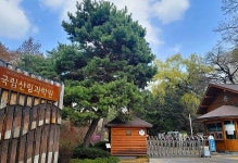 국토녹화 50주년, 홍릉숲에 가다