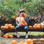 아이와 함께 ‘동심의 세계’로 떠나요~