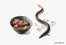 영양가 풍부한 7월 수산물 3가지