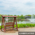 한여름의 추억을 남길 여름꽃 인생 사진 명소