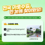 산림청 추천! 더위 피하기 딱 좋은 가로수길은 어디?