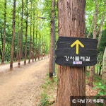 도심에서 자연을 즐기는 서울 숲길 4곳