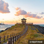 은빛 물결 일렁이는 제주도 억새 명소