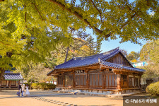 가을의 낭만·정취 가득한 전주 여행