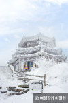새하얀 숲으로 변한 덕유산 국립공원 겨울 산행