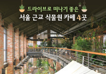 드라이브로 떠나기 좋은 서울 근교 식물원 카페 4곳