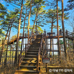 겨울에도 피톤치드 가득한 푸른숲 4곳