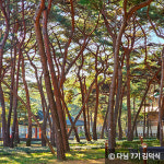 겨울에도 피톤치드 가득한 푸른숲 4곳