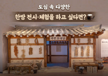 도심 속 다양한 한방 전시·체험을 하고 싶다면?