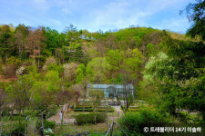 푸르른 춘천의 봄을 담은 인생샷 포토존 4곳