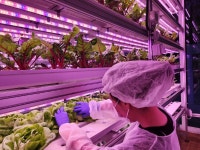 지하철역 한복판에서 농장을 만나다