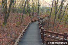 아름다운 자연부터 감성 있는 예술이 가득한 파주 여행