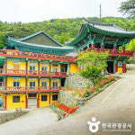 새로운 즐거움이 가득한 부산으로 떠나세요!