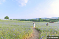 알록달록 총천연색으로 물든 청량한 당진 여행