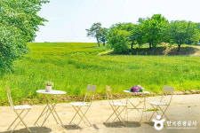 알록달록 총천연색으로 물든 청량한 당진 여행