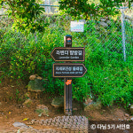 보랏빛 향기가 가득한 전국 라벤더 명소 4곳