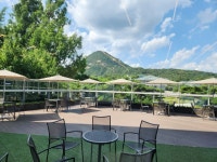 청와대 사랑채 한 바퀴, 서촌의 역사를 만나요