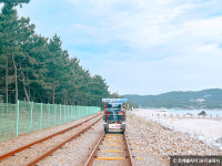올 여름 여행지로 딱! 투명하고 신비로운 삼척 바다