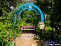 숲속 힐링을 즐기는 식물원 명소 4곳