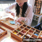 숲속 힐링을 즐기는 식물원 명소 4곳