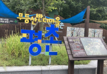 가을밤 반딧불이 보고 싶다면 ‘무등산 평촌명품마을’로~