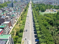 명품 가로수길의 비결을 알려드려요!