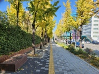 보행자의 날(11.11.), 전국 곳곳에 안전하고 편리한 보행길이 늘고 있어요~