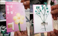 일상 꽃 생활화 ‘2024 양재 플라워 페스타’ 어때요?