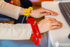 원주 피노키오숲에서 누리는 ‘산림 치유의 힘’