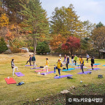 원주 피노키오숲에서 누리는 ‘산림 치유의 힘’