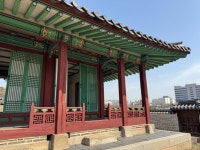창덕궁 낙선재에서 봄꽃과 함께 듣는 역사 이야기