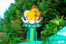 감성 듬뿍 캠핑&피크닉 여행지 4곳