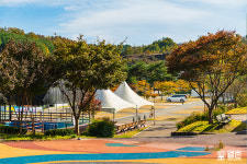 감성 듬뿍 캠핑&피크닉 여행지 4곳