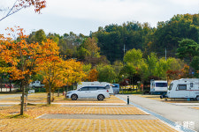 감성 듬뿍 캠핑&피크닉 여행지 4곳