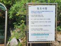 걷기의 의미를 생각해 본 하루 2025 제2회 메모리얼 봄꽃 하이킹