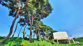 산림문학을 읽으며 정원을 거닐다