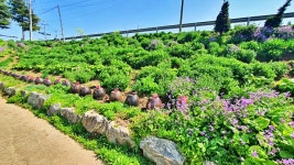 산림문학을 읽으며 정원을 거닐다