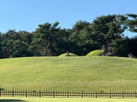 해설사 없어도 OK! 조선왕릉대탐미