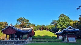 조선의 가을을 느끼며 왕릉을 걷다