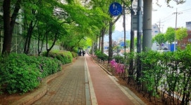 11월 11일 보행자의 날, 생각하는 걷기의 가치