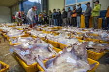 홍어는 우리의 것...군산 경계하는 신안·인천, 왜?