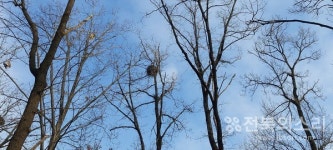 인명재천(人命在天)의 현대적 해석