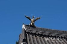        새해 금시조(金翅鳥)에 얽힌 사연을 떠올리며