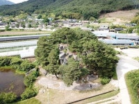 울산 반구대 암각화 세계유산 등재...호남 유일 남원 대곡리 암각화, 더 큰 세상 향할 때