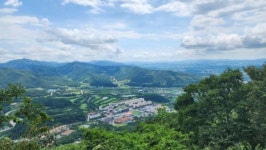 삶터의 환경이 좋아야 새들도 사람들도 살러 온다...제비집 명당과 문화유산의 공통점