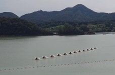 붕어섬·양요정이 있는 섬진강댐에서 옛 추억을