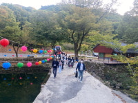 순천 송광사, 외국인 유학생 템플스테이