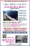 보성 대원사 봄맞이 벚꽃길 걷기 템플스테이